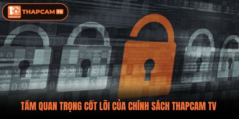 Tầm quan trọng cốt lõi của chính sách thapcam tv 