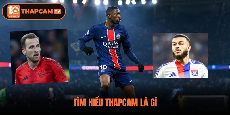 Tìm hiểu Thapcam là gì