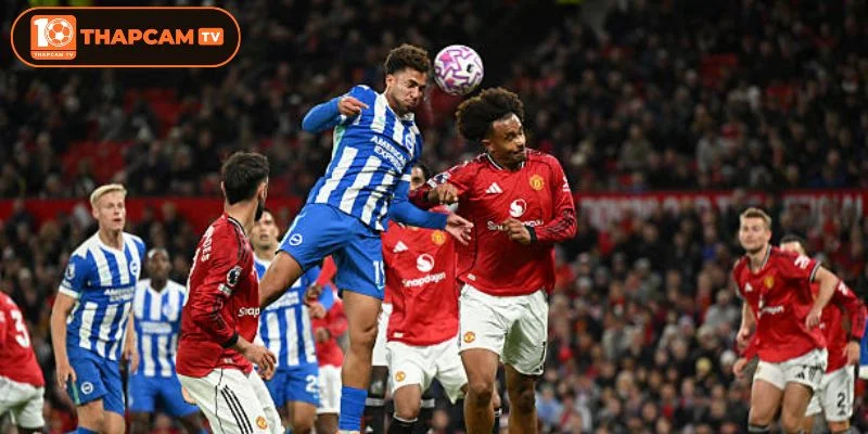 Cả Brighton vs Man Utd sẽ ra sân với đội hình tương thiếu vắng nhiều vị trí quan trọng.