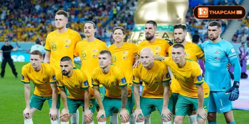 Úc đã chuẩn bị rất kỹ cho sự trở lại World Cup năm nay.